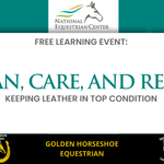 Clean, Care, and Repair – Keeping Leather in Top Condition