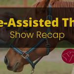 Equine Assisted Therapy Horse Show Recap