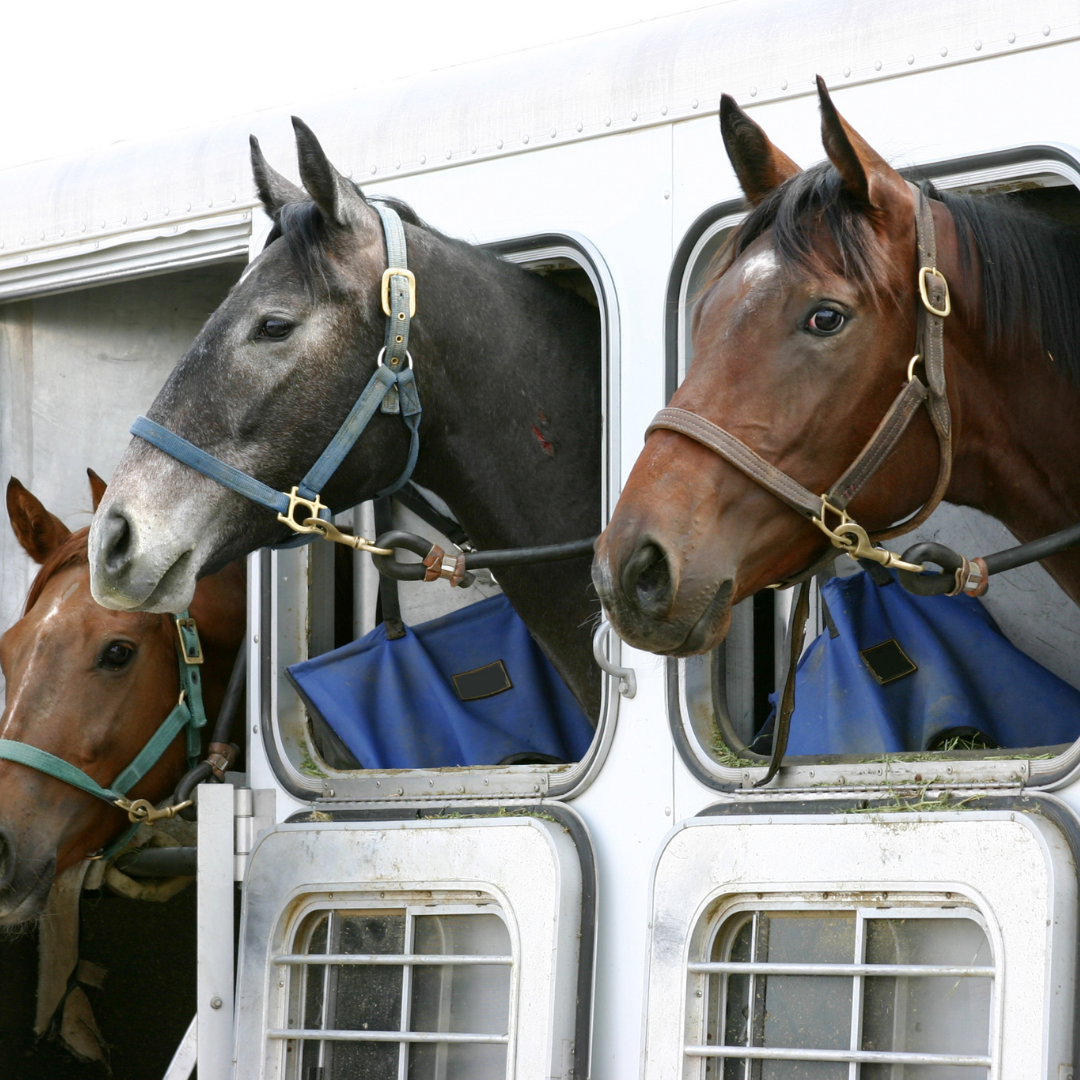 Trailering