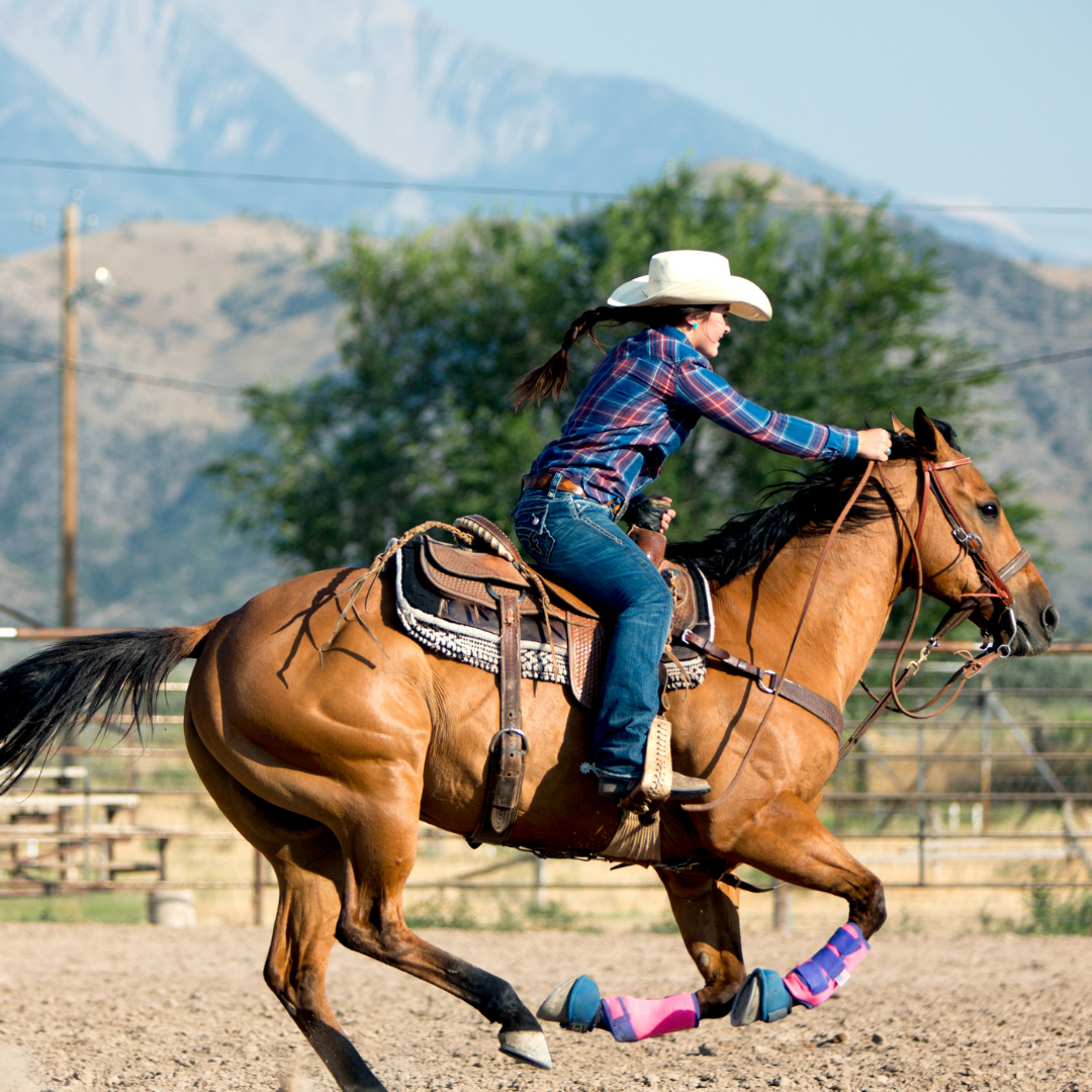 Western Ladies Apparel – Golden Horseshoe Equestrian