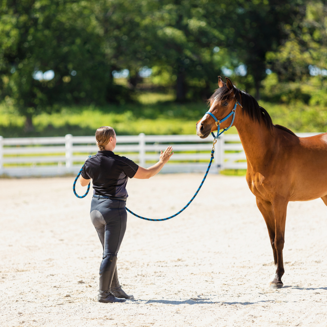 Lunging