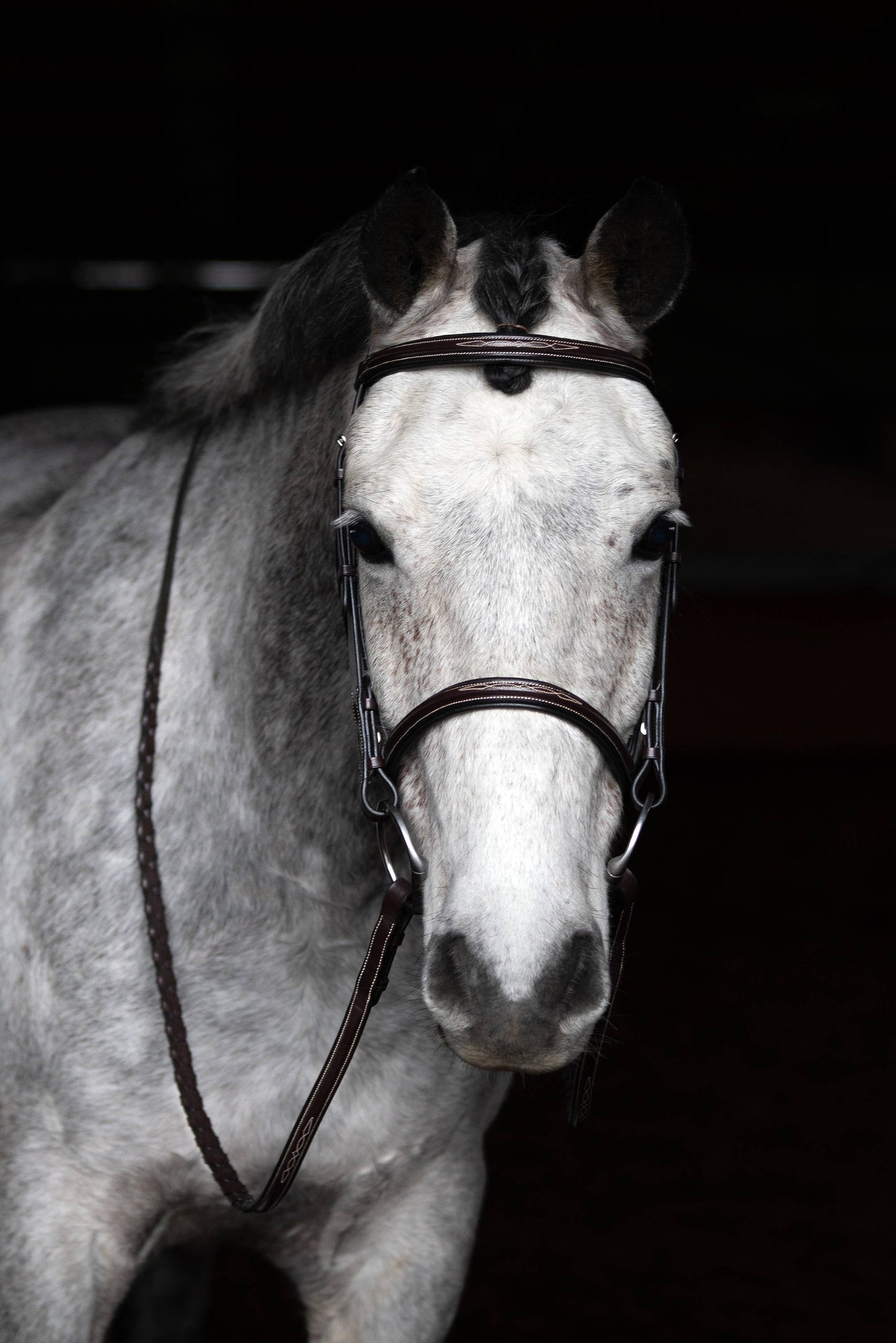 Arnold IV - Fancy Padded Leather Hunter Horse Bridle