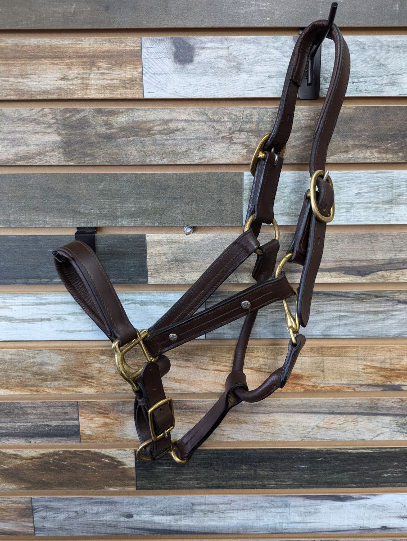 USED Adjustable Leather Halter with Gold Hardware Cob Havana