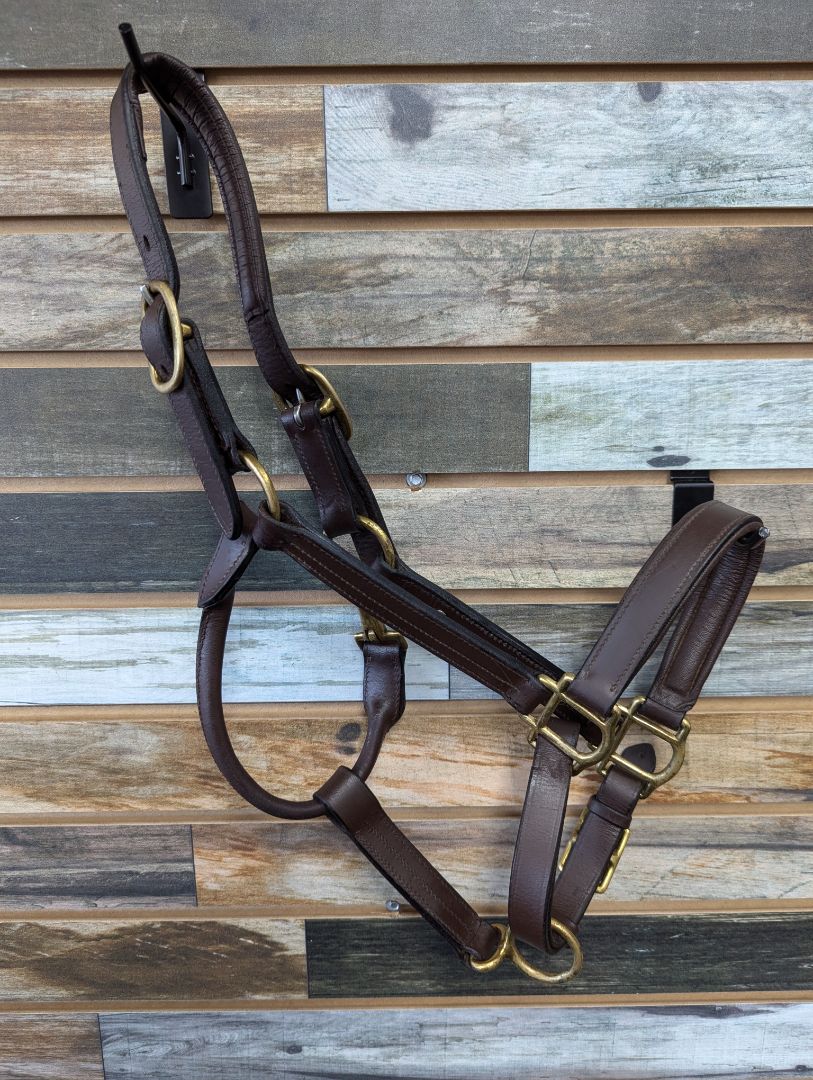 USED Adjustable Leather Halter with Gold Hardware Cob Havana