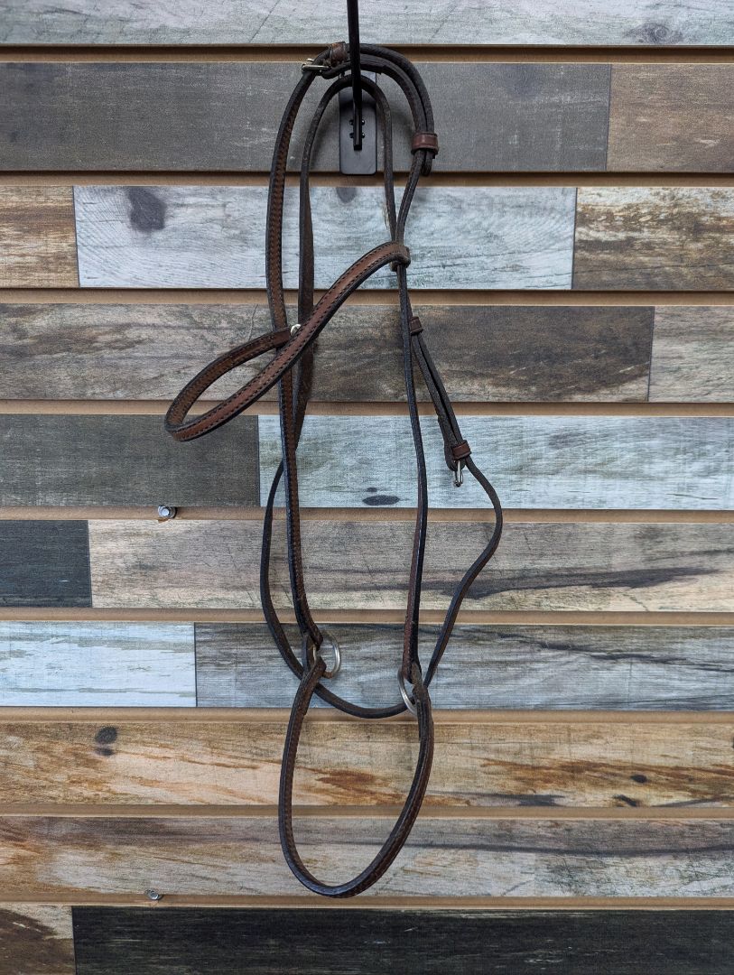 USED Arabian Show Halter Arabian Dark Oil