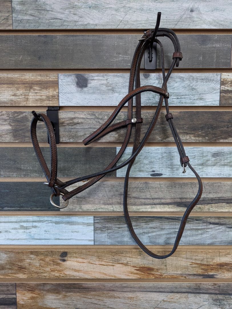 USED Arabian Show Halter Arabian Dark Oil