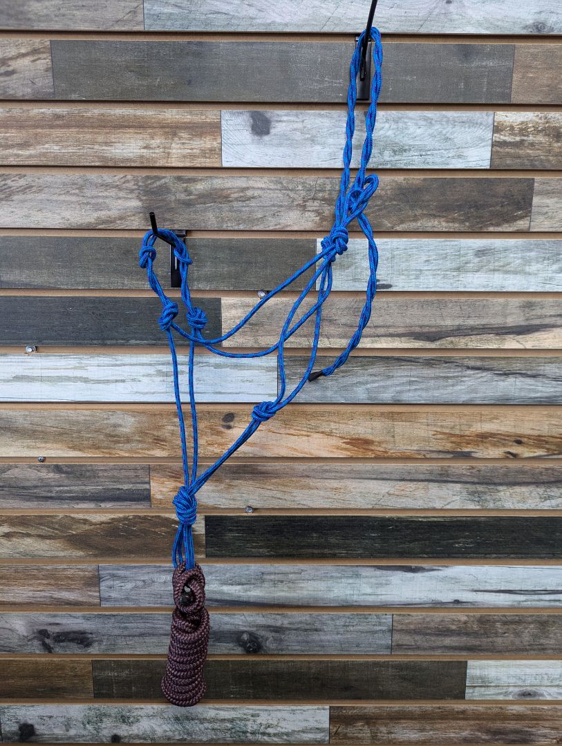 USED Rope Halter & Lead Blue