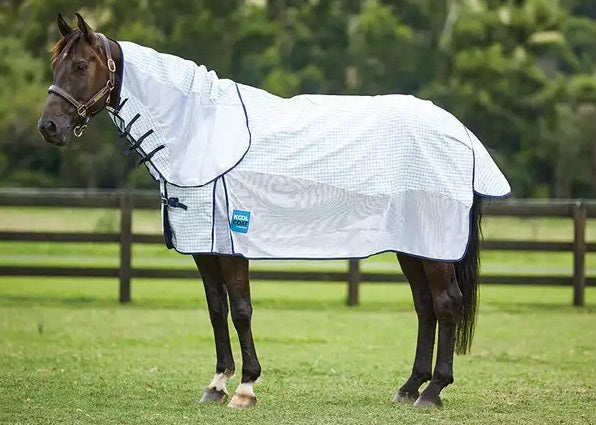 Weatherbeeta Kool Coat Airstream III with Hidden Surcingle Detach A Neck