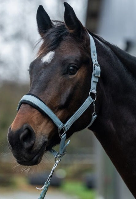 HKM Head collar -"Catherine" - 4 Colors Available