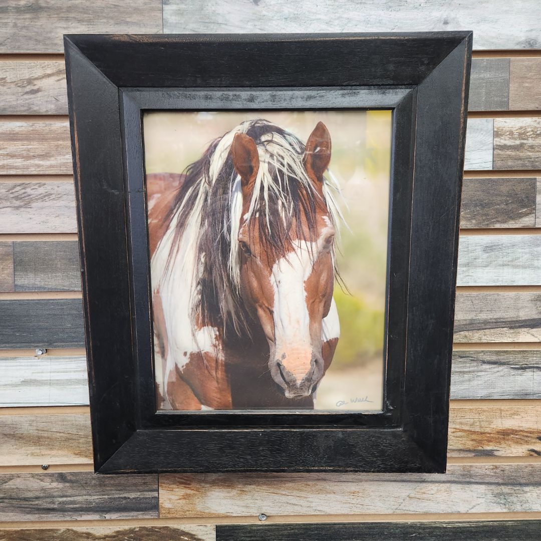 USED "Picasso" Stallion of the Sandwash Print 16.5" x 19.5"