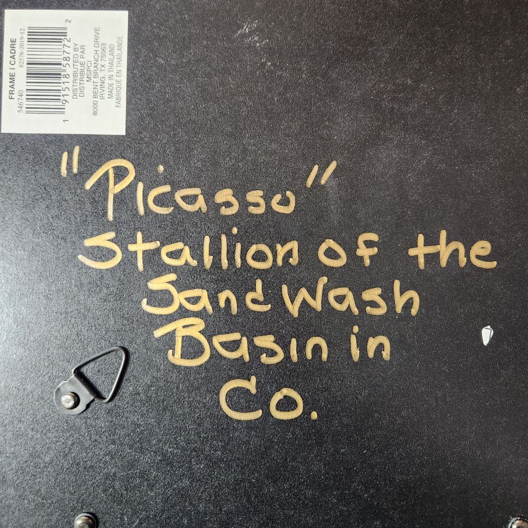 USED "Picasso" Stallion of the Sandwash Print 16.5" x 19.5"