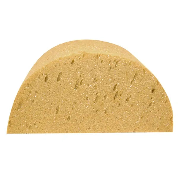 Large Half Moon Sponge