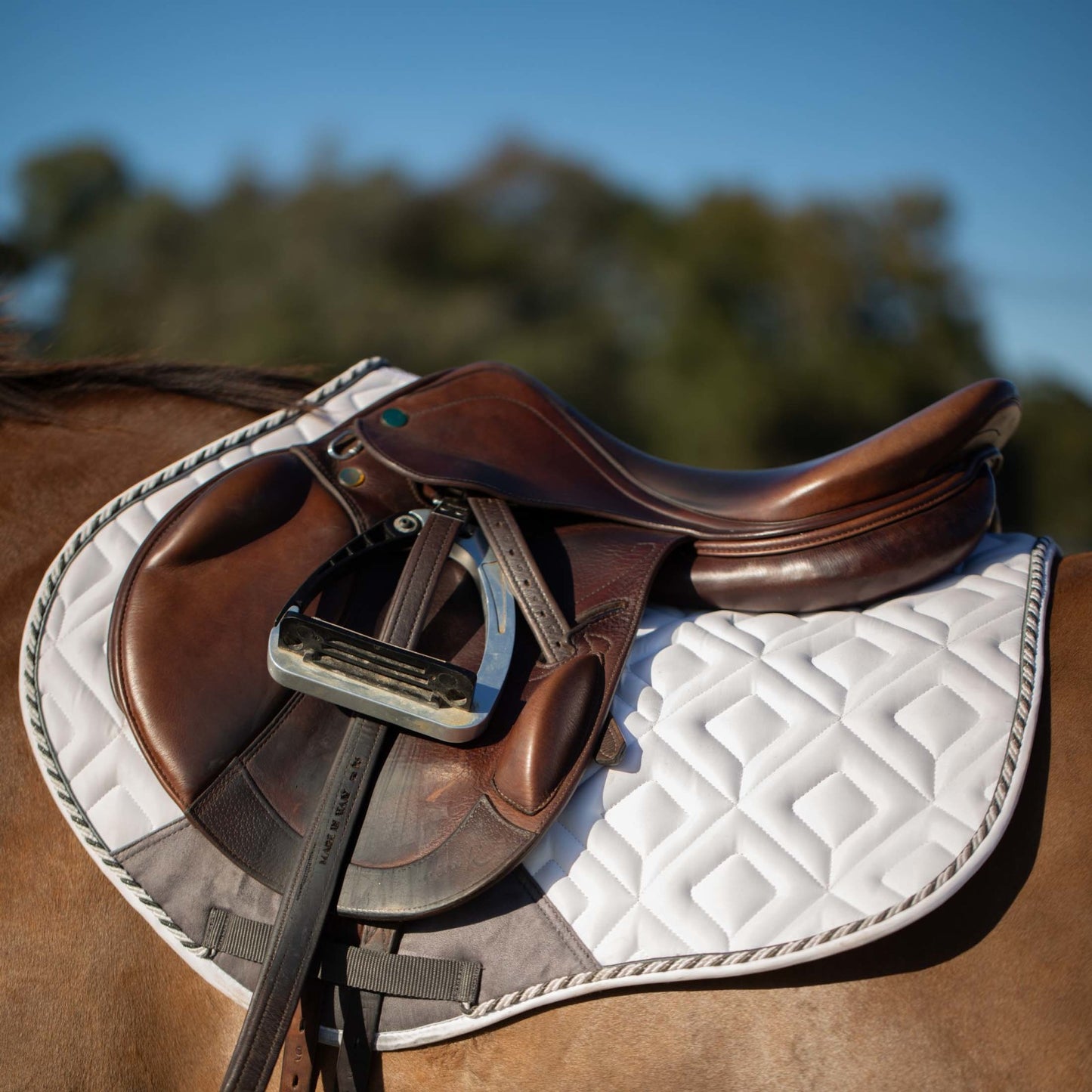 Equinavia Stockholm Jump Pad
