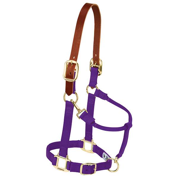 Breakaway Original Adjustable Chin and Throat Snap Halter, 1"