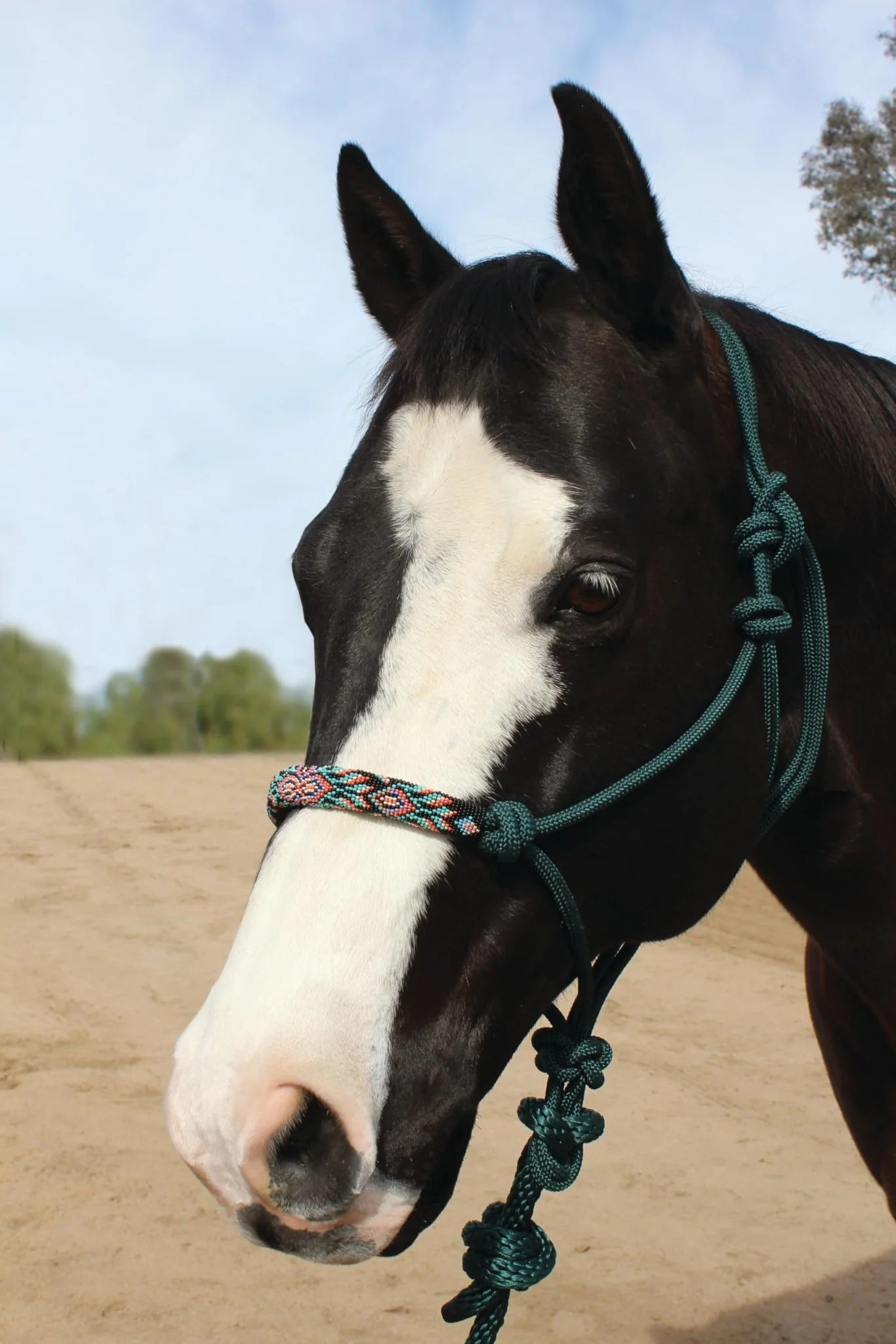 Professional Choice Beaded Rope Halter and Lead