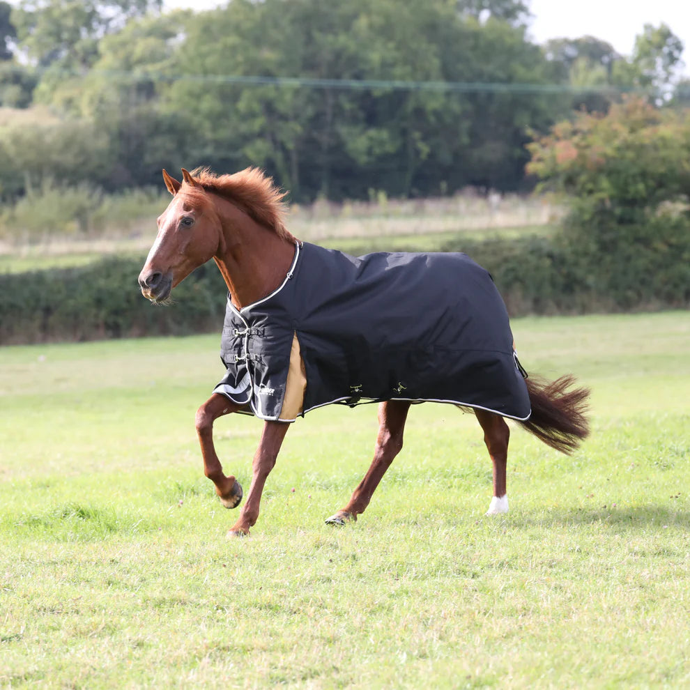 Highlander Plus 200 Turnout Rug Black/Gold