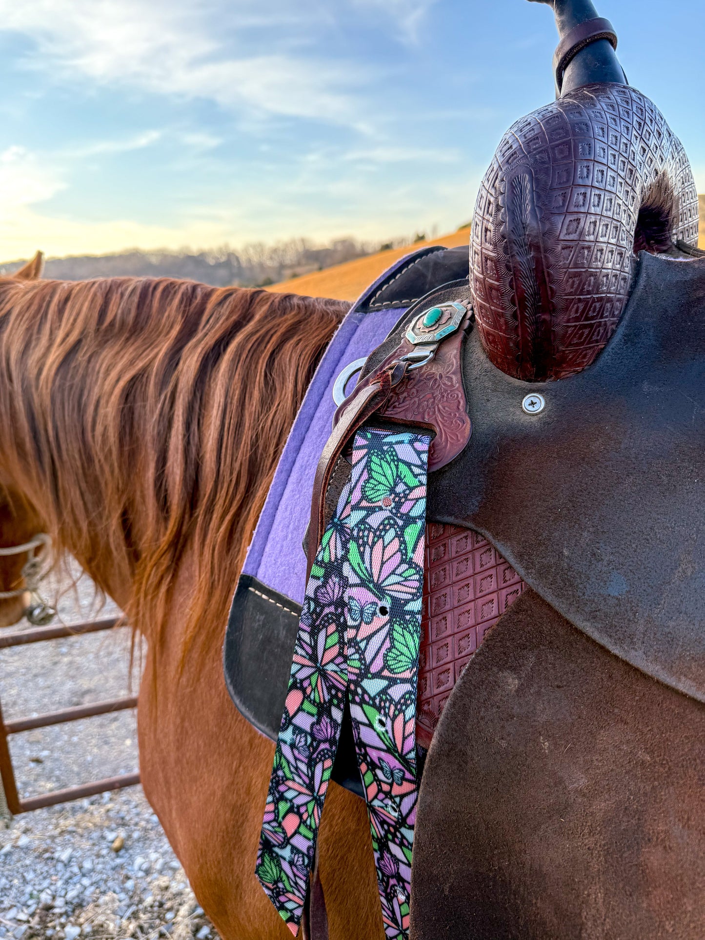Wings and Wild Things Cinch Strap Set