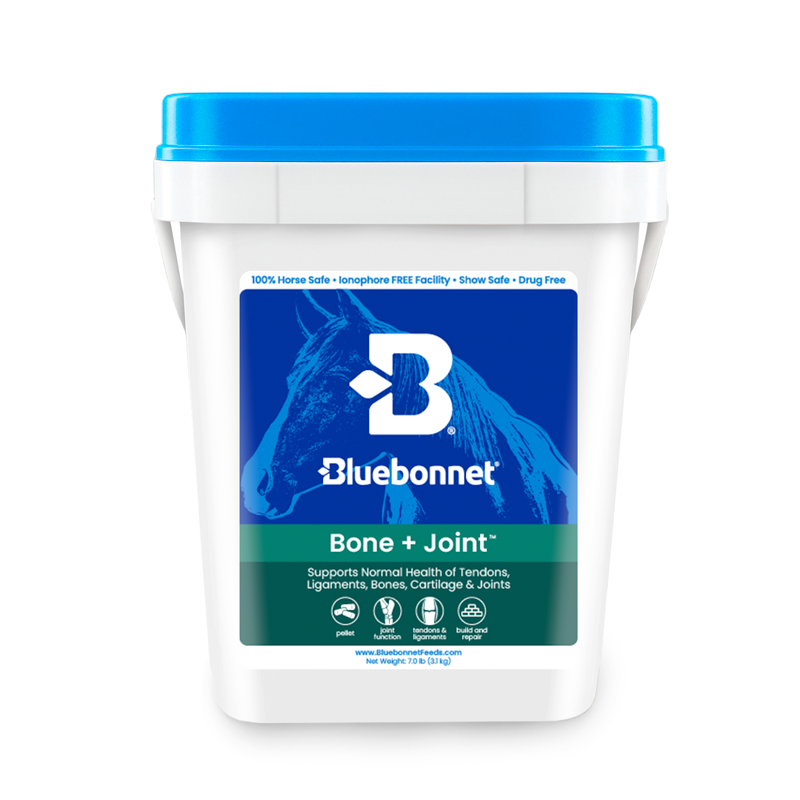 Bluebonnet - Bone + Joint™ (Ortho Max)