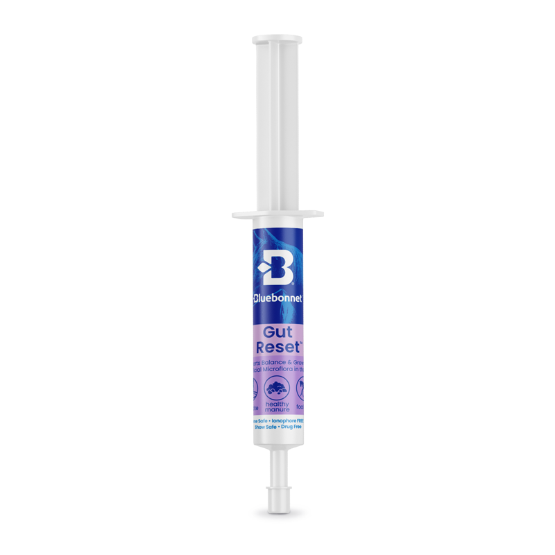 Bluebonnet - Gut Reset™ Paste