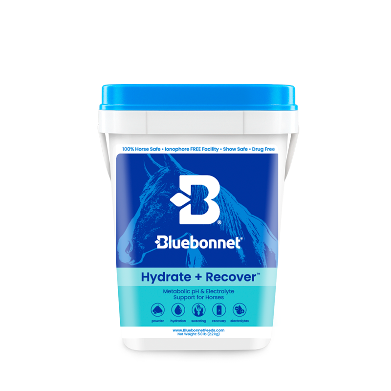 Bluebonnet - Hydrate + Recover™ (Turbo Mag BCAA)