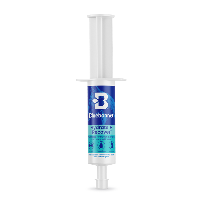 Bluebonnet - Travel Paste™ Hydrate + Recover