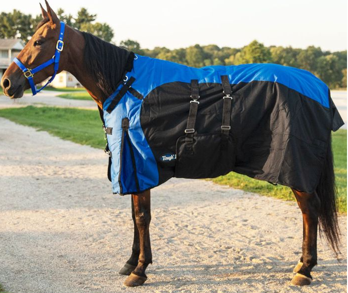 Tough 1 1200D Blanket w/ Belly Purple