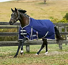 WeatherBeeta Comfitec Essential Standard Neck Lite Turnout Sheet 63"