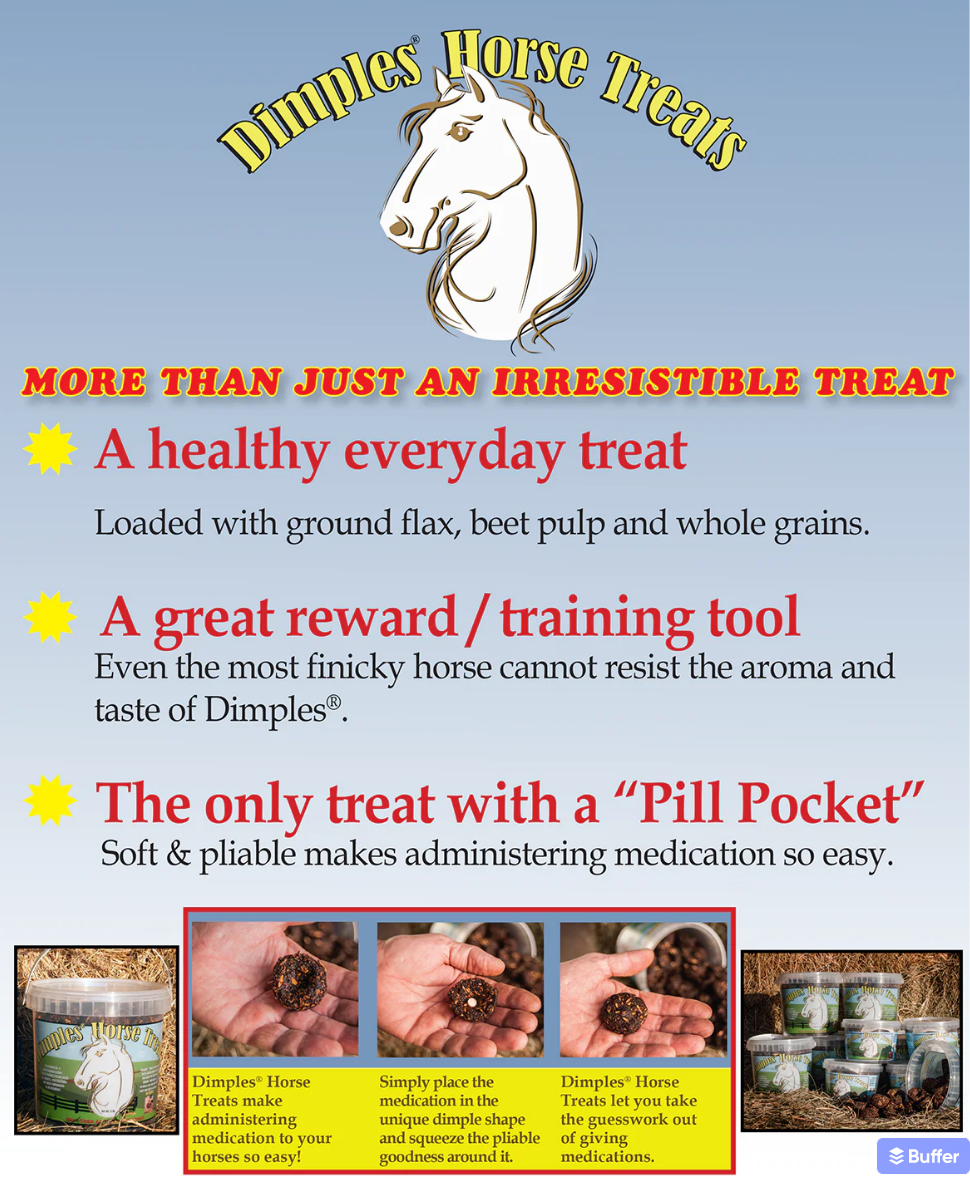 Dimples Horse Treats 1lb