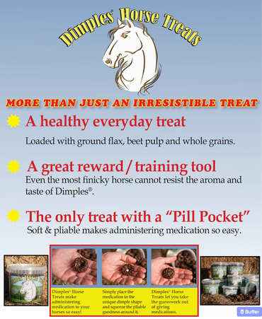 Dimples Horse Treats 1lb