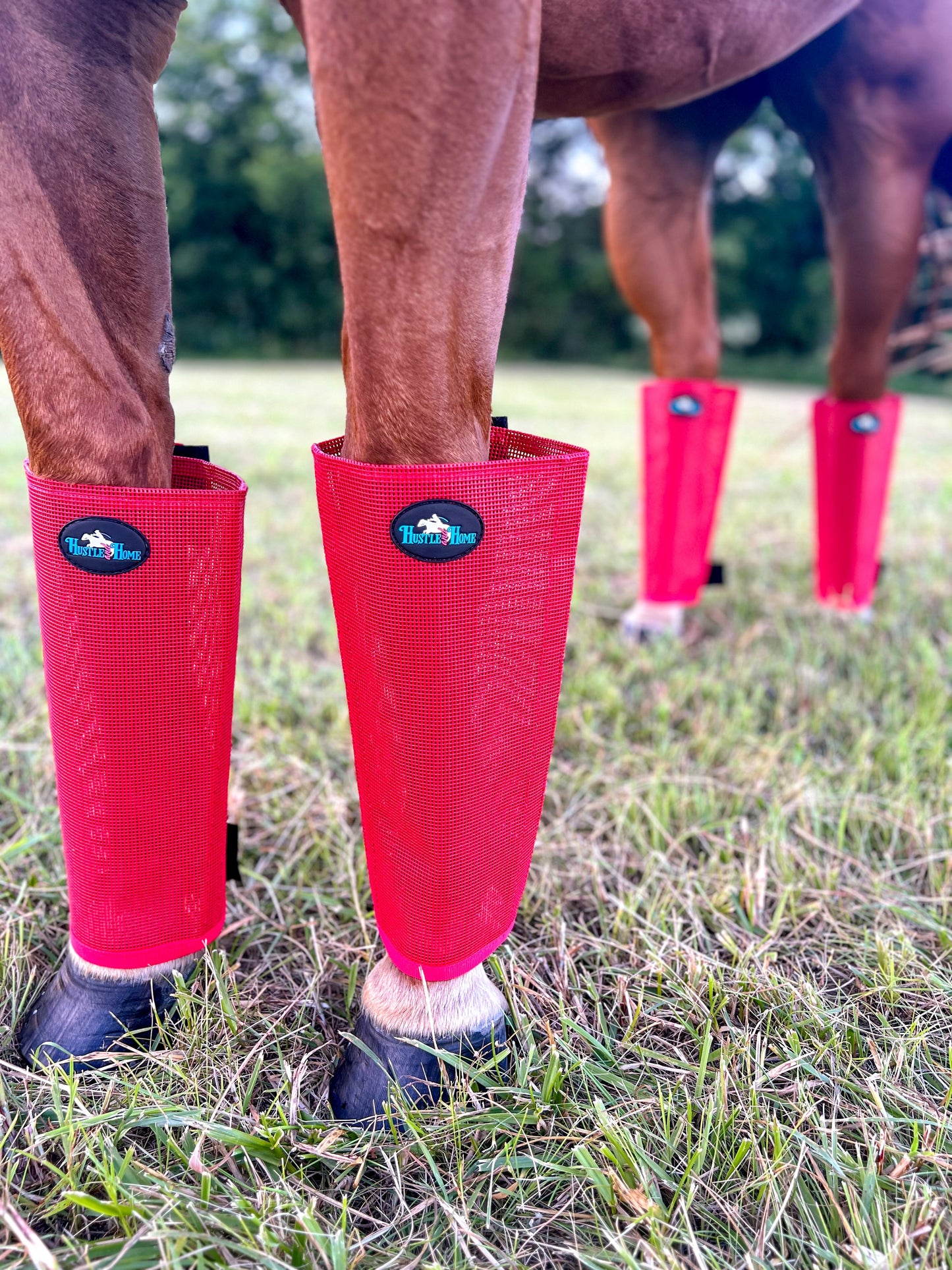 Fly Boots