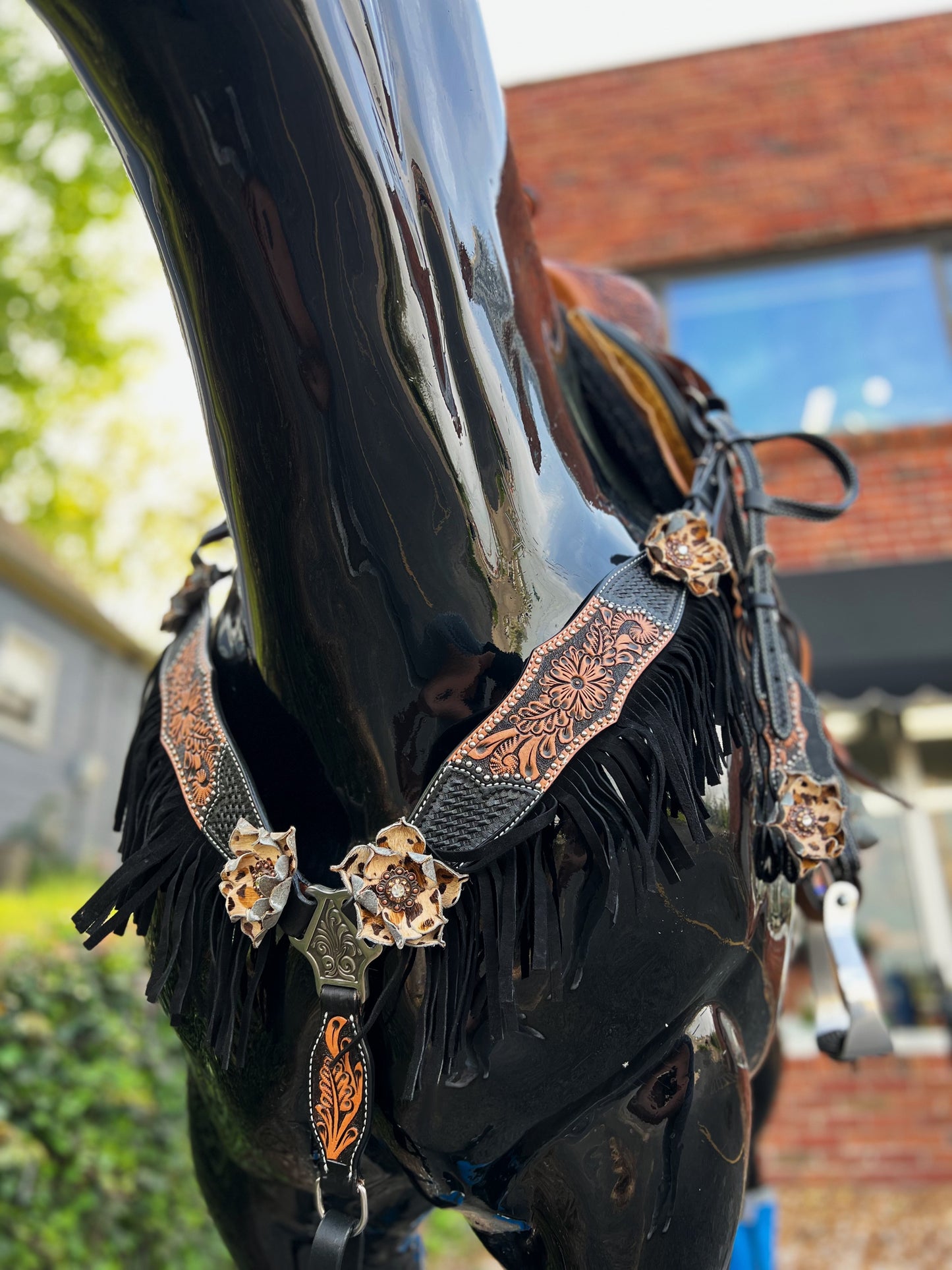 Circle Y Wildcard Breast Collar