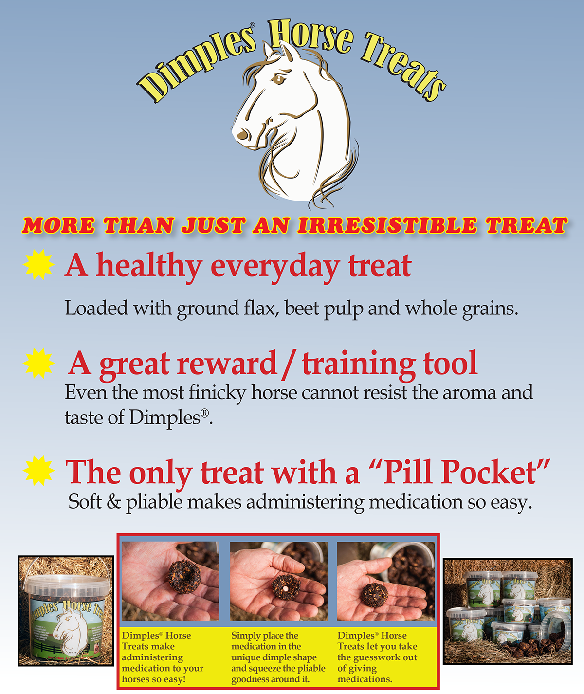 Dimples Horse Treats 3lb