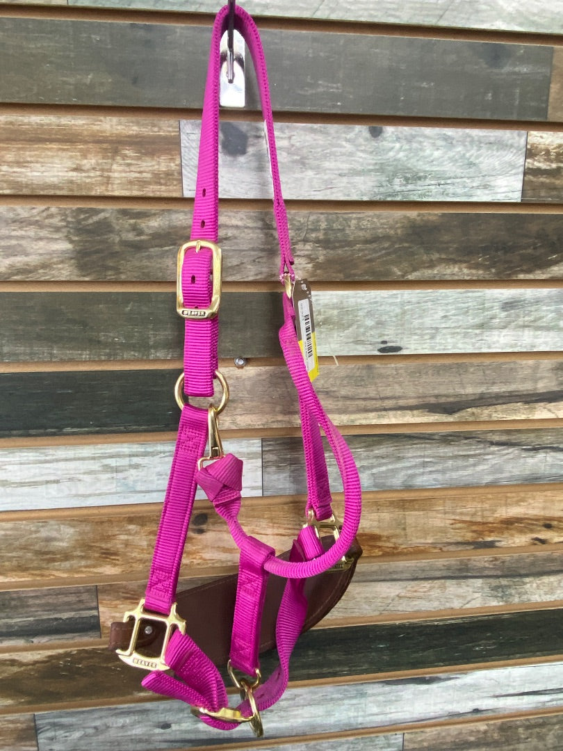 USED Little Paint Leather / Weaver Bronc Noseband Halter Horse Magenta | Cowboy Bunny
