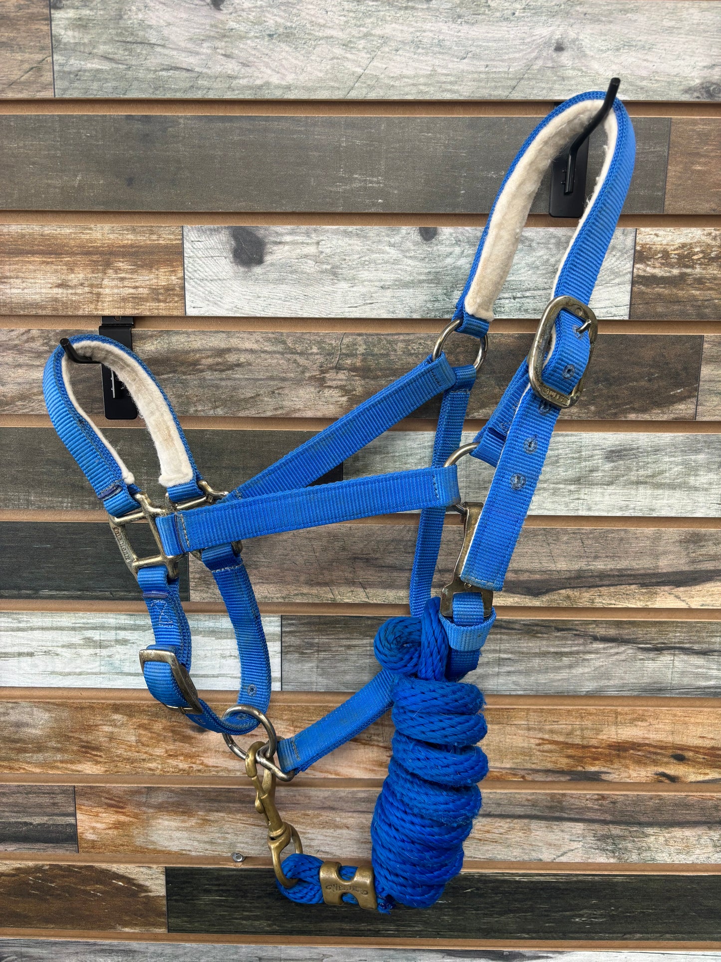 USED Weaver/Tuffy Halter Horse Blue with Lead Rope