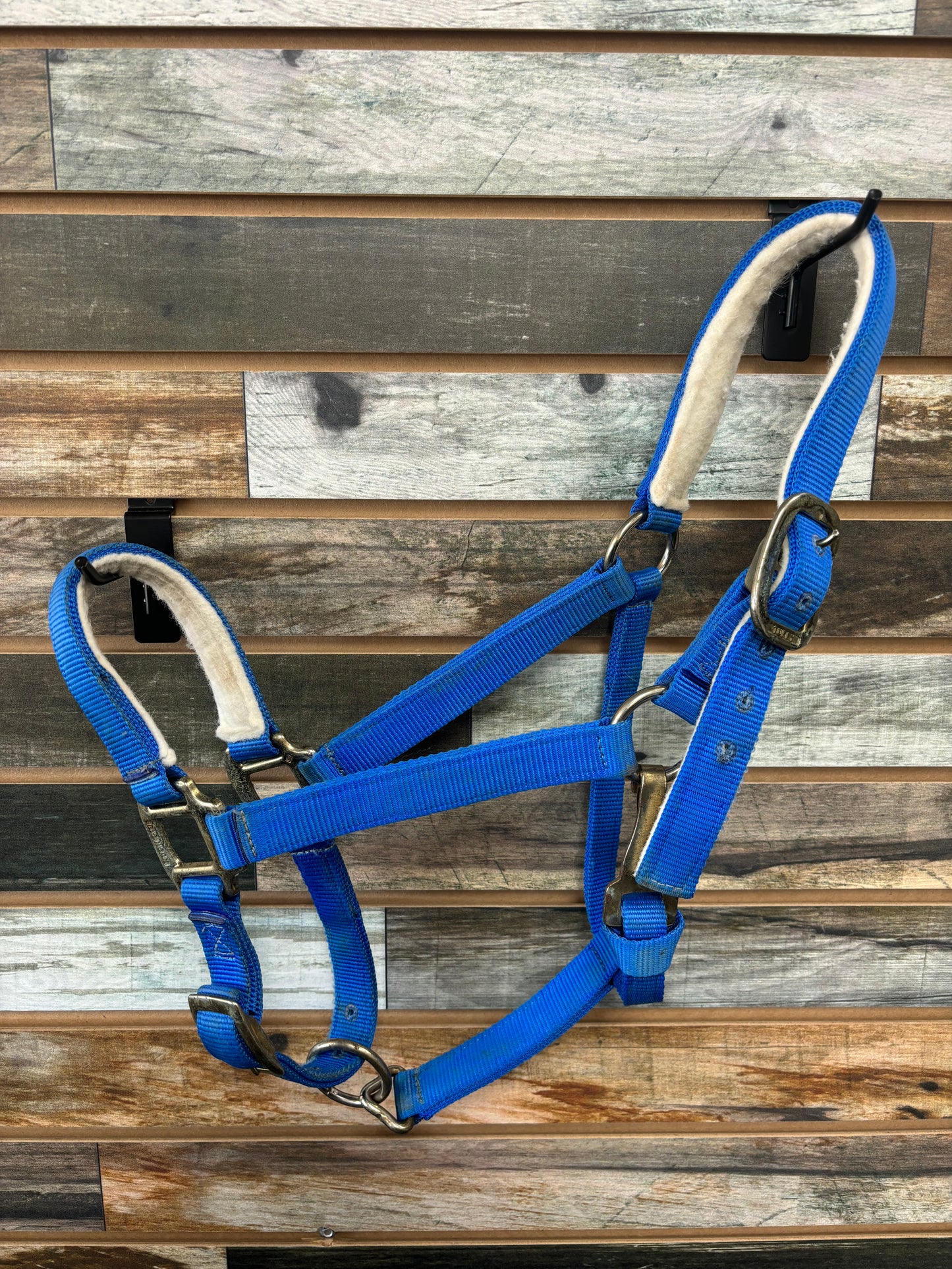 USED Weaver/Tuffy Halter Horse Blue with Lead Rope