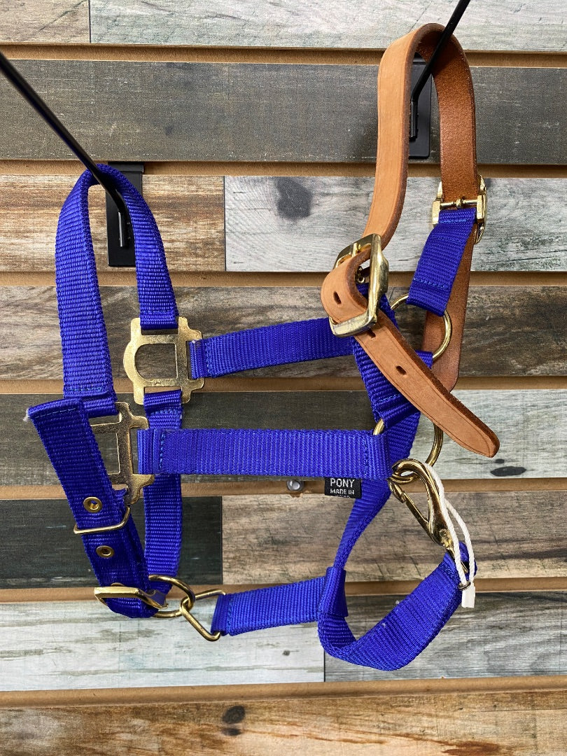 USED No Brand Royal Blue Pony Breakaway Halter
