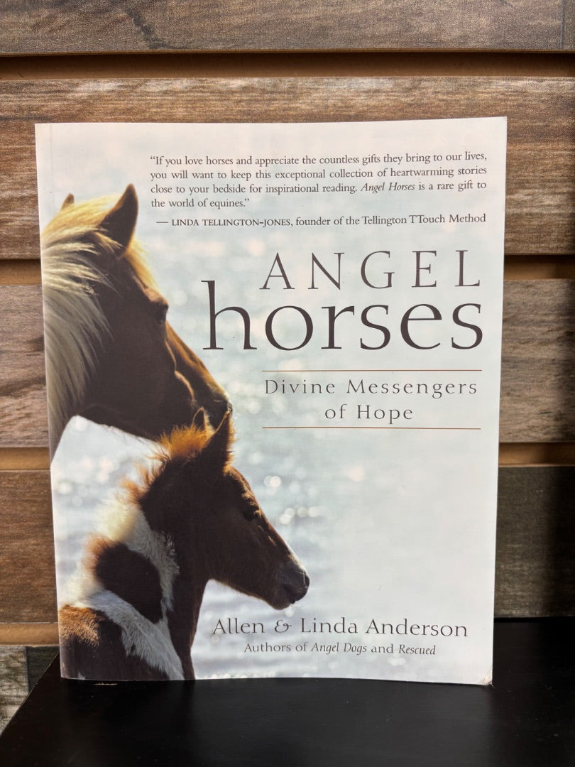 USED Allen & Linda Anderson Angel Horses