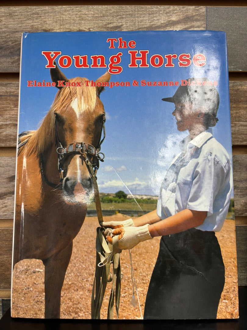 USED Elaine Knox The Young Horse