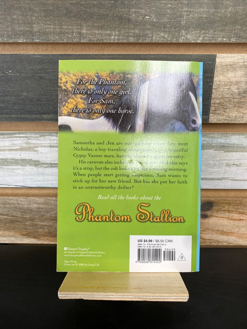 USED "Gypsy Gold (Phantom Stallion, No. 23)": Terri Farley