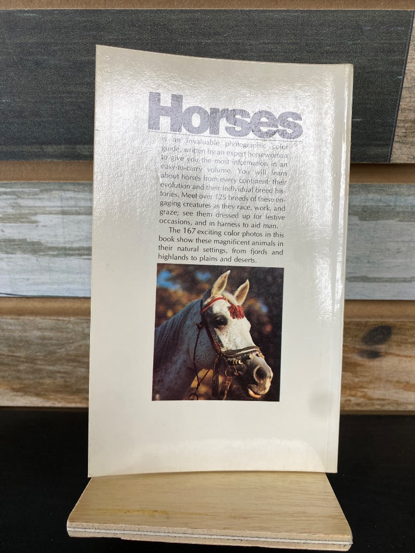 USED "Horses": Kate Reddick