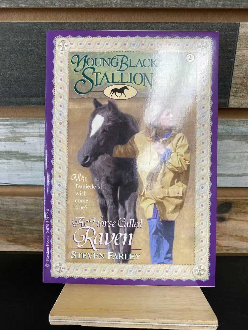 USED Young Black Stallion the Horse Called Raven