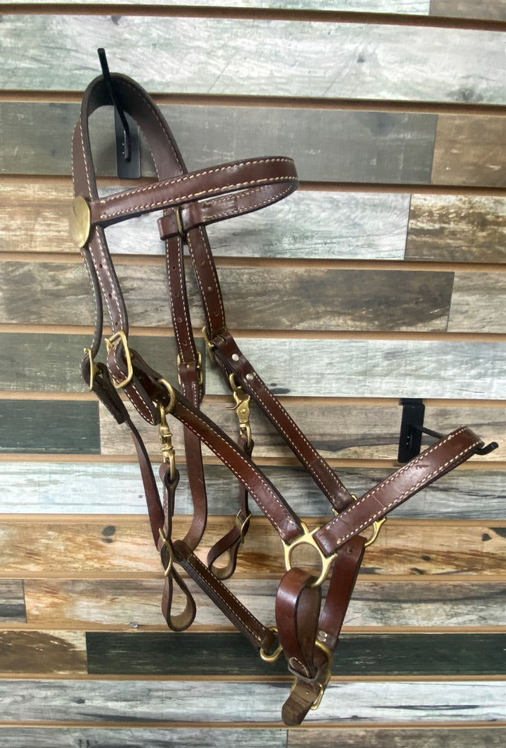USED Tucker Halter/Bridle Horse Dark Oil w/BrassFittings