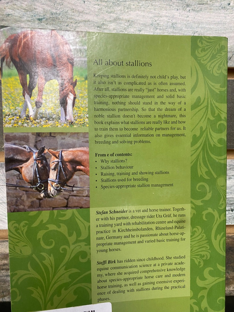 USED Stallions-Care and Management