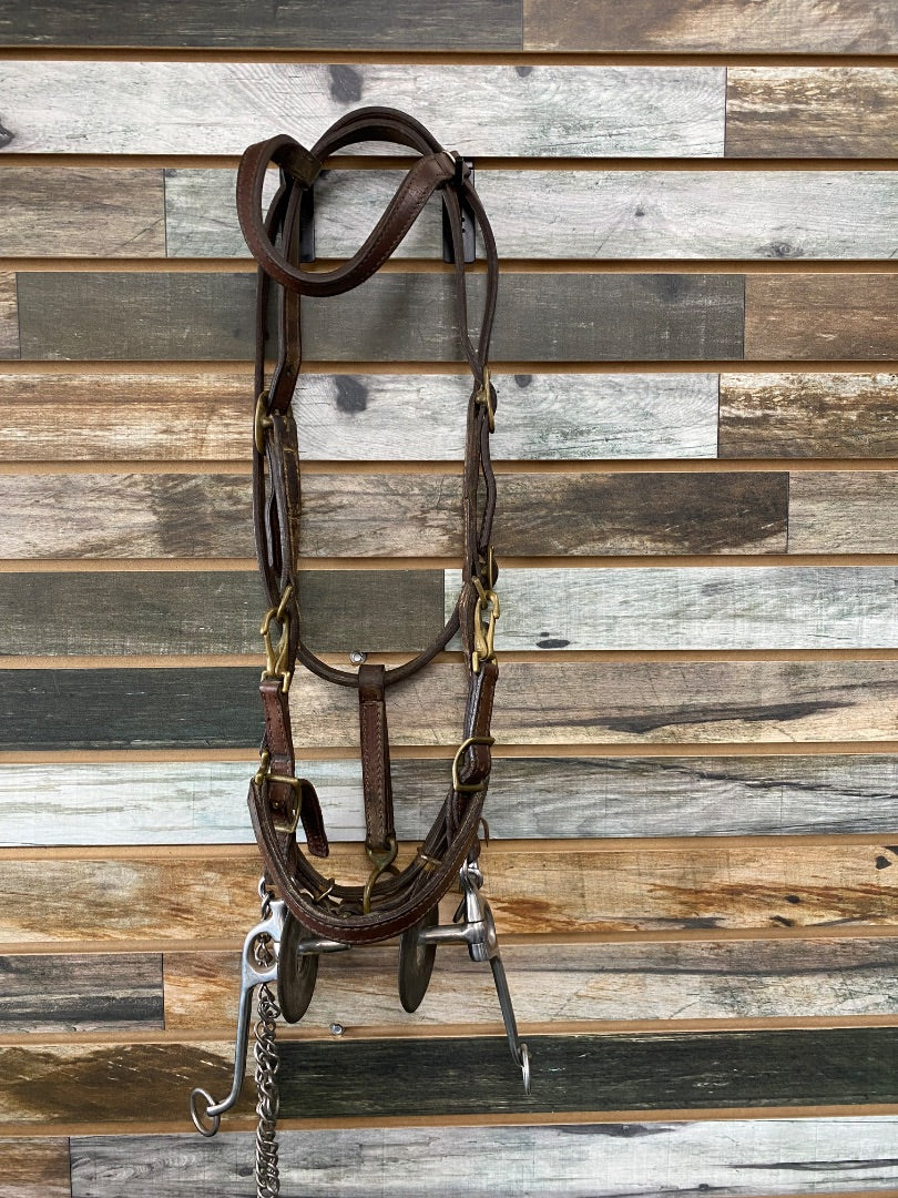 USED Halter-Bridle Combo with Walking Horse Bit