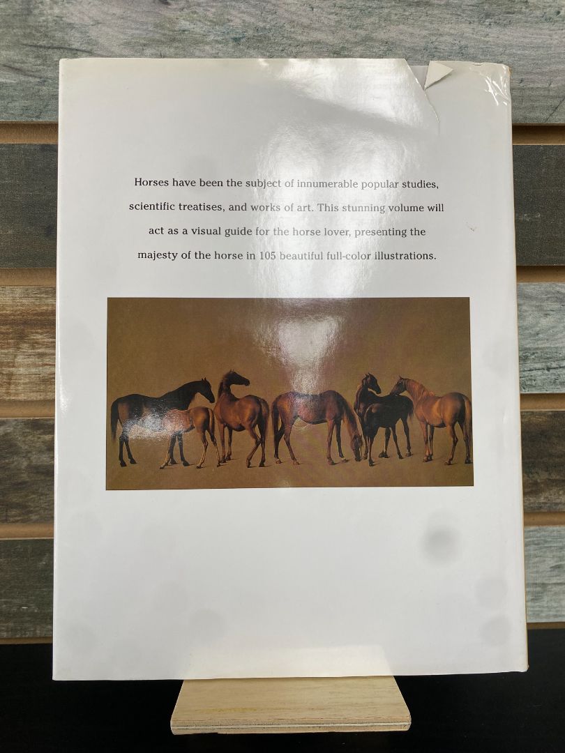 USED "The Majesty of The Horse": Dean Server