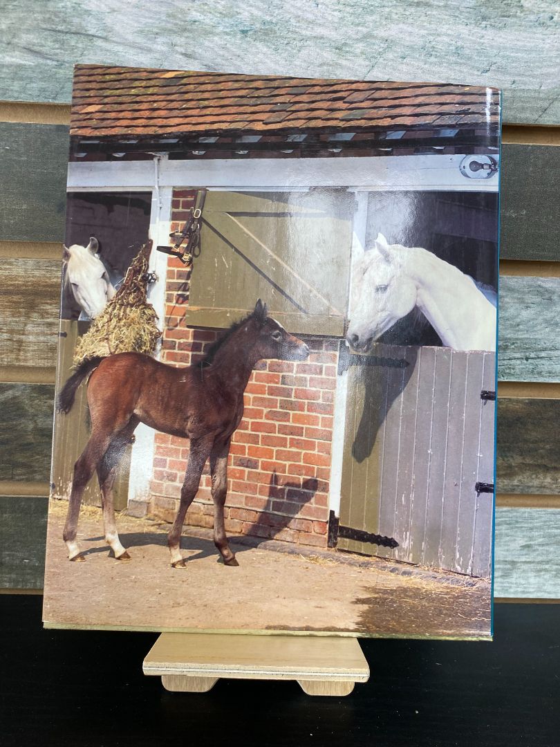 USED "Nature Library of Colours: Horses & Foals" Book