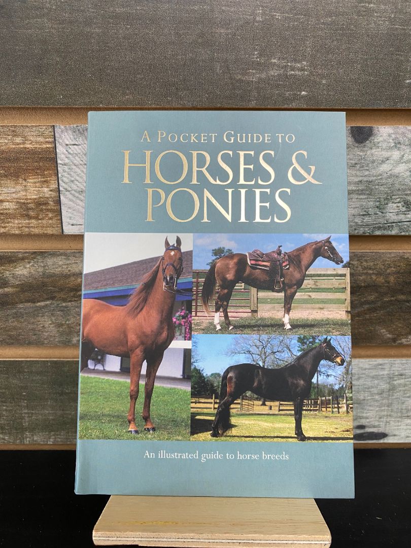 USED "A Pocket Guide To Horses & Ponies" by Corinne Clark