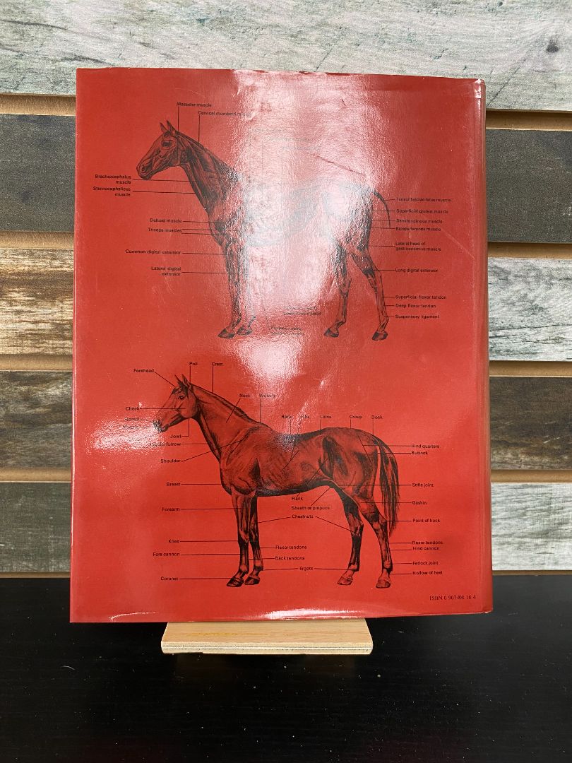 USED Peerage Books The Encyclopedia of the Horse Every Horse & Pony Breed