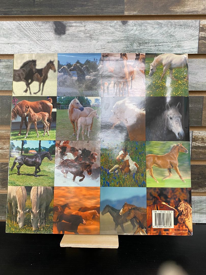 USED "The Majestic Horse": Alex Hook