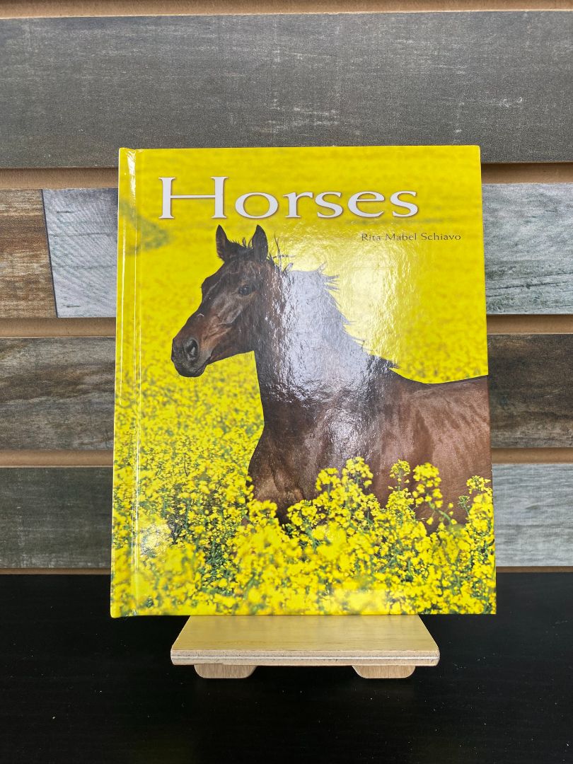 USED Rita Mabel Schiava Horses